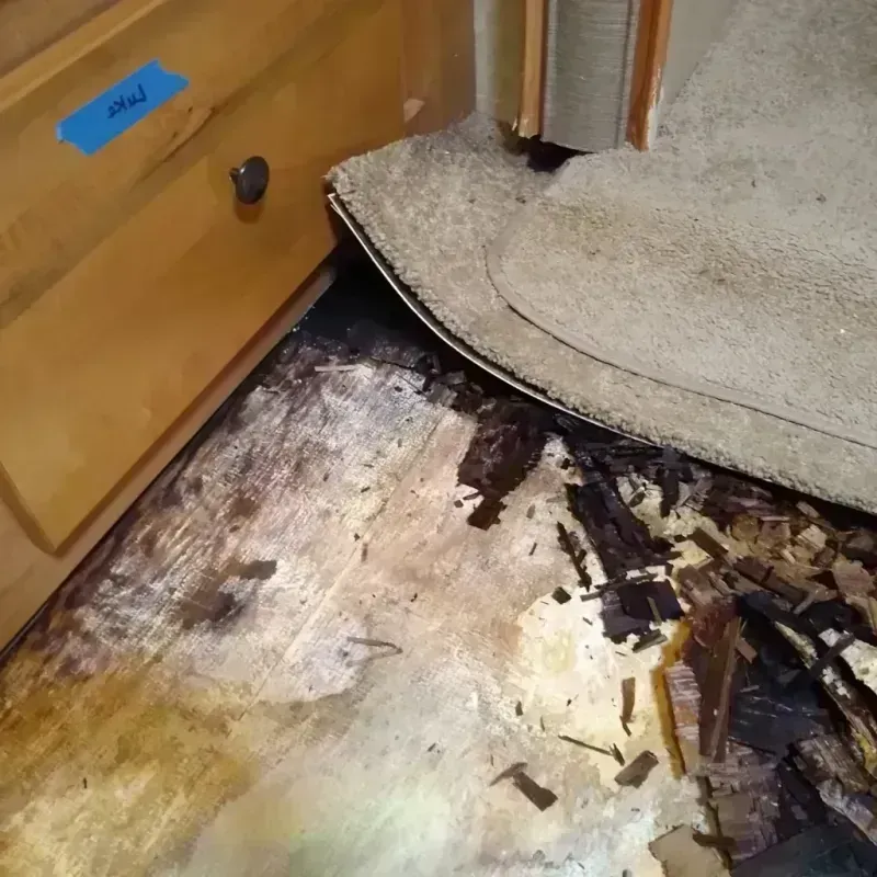 Wood Floor Water Damage in Independence, MN